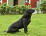 IMG_2572.JPG