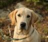 IMG_2970.jpg