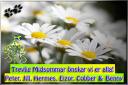 midsommar1.jpg