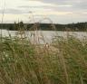 IMG_1263.JPG
