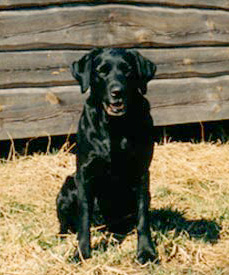 Alma